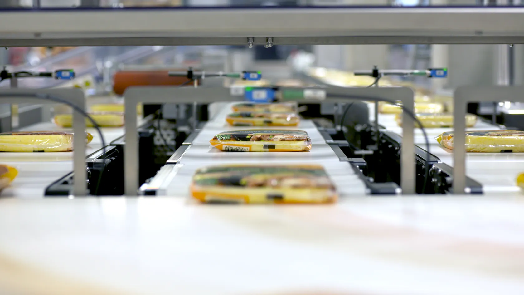 Detailansicht der Kloßteig-Zuführung auf drei Bändern